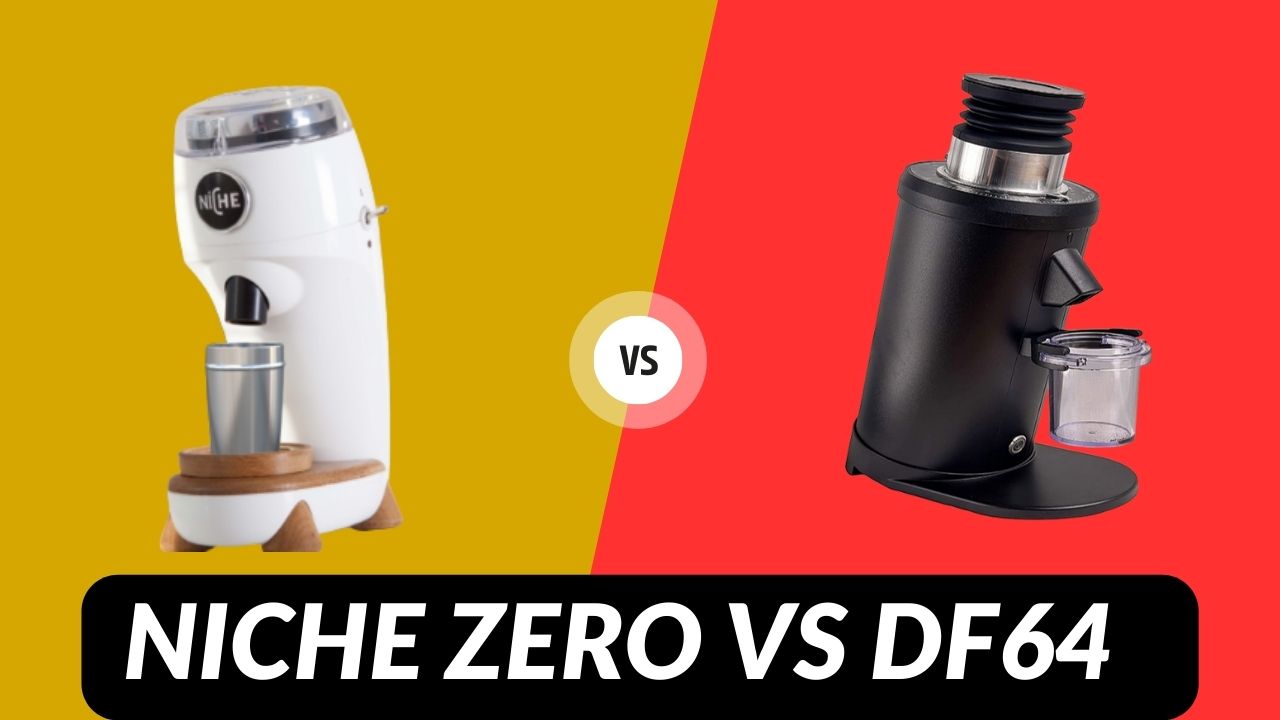 Niche Zero vs DF64