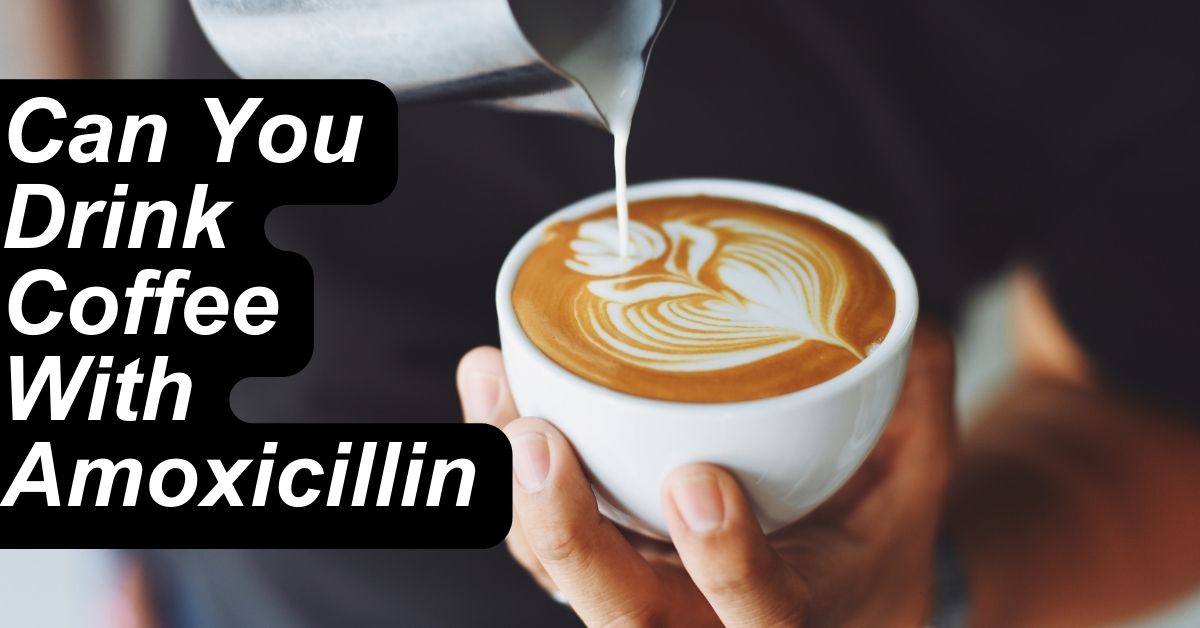 Can You Drink Coffee With Amoxicillin
