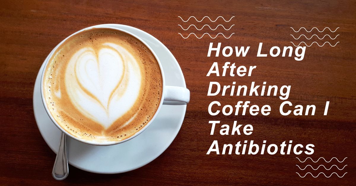 How Long After Drinking Coffee Can I Take Antibiotics